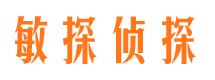 长清侦探公司